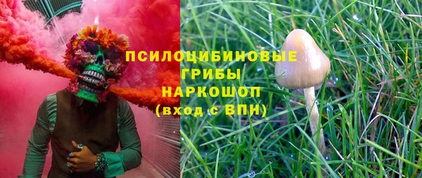 прущие грибы Алексин