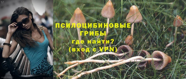 ALPHA PVP Алзамай