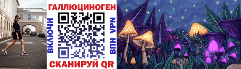 Галлюциногенные грибы Cubensis  даркнет сайт  Венёв 